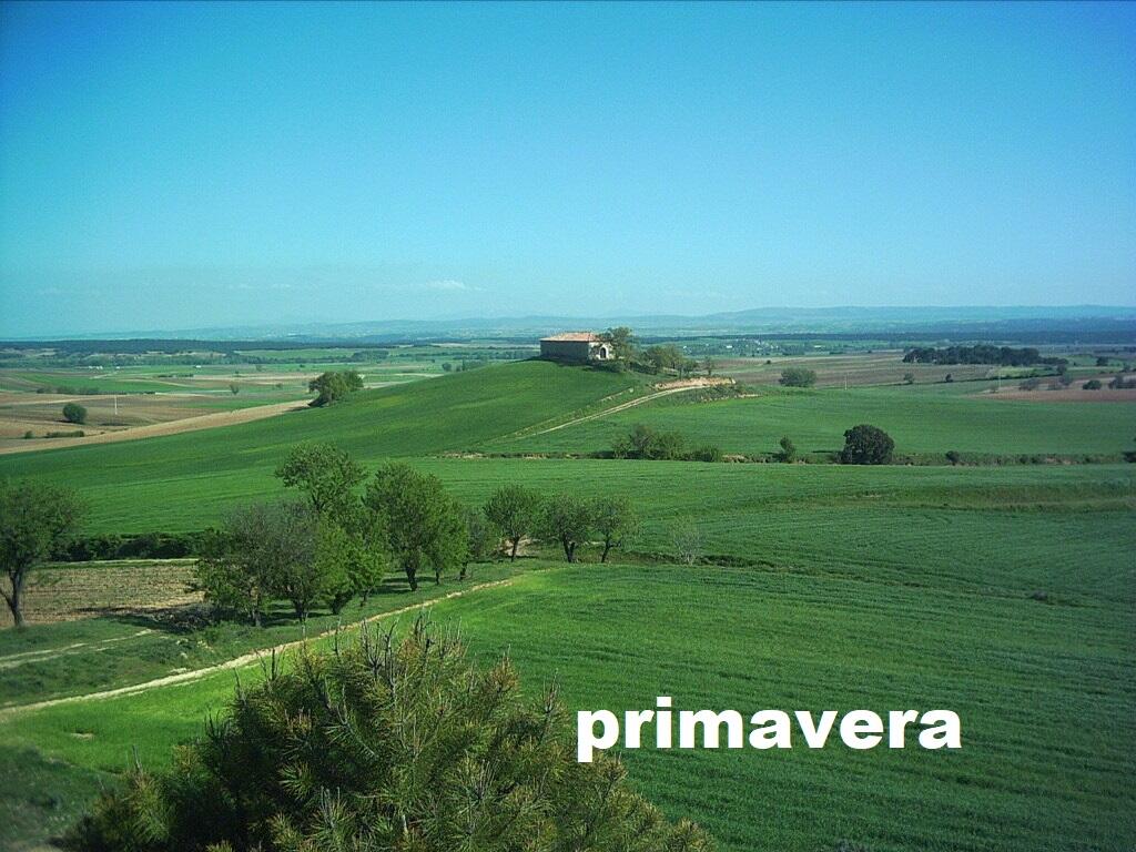 San Isidro en primavera