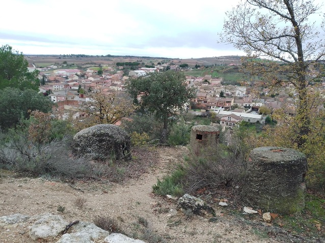 Vista