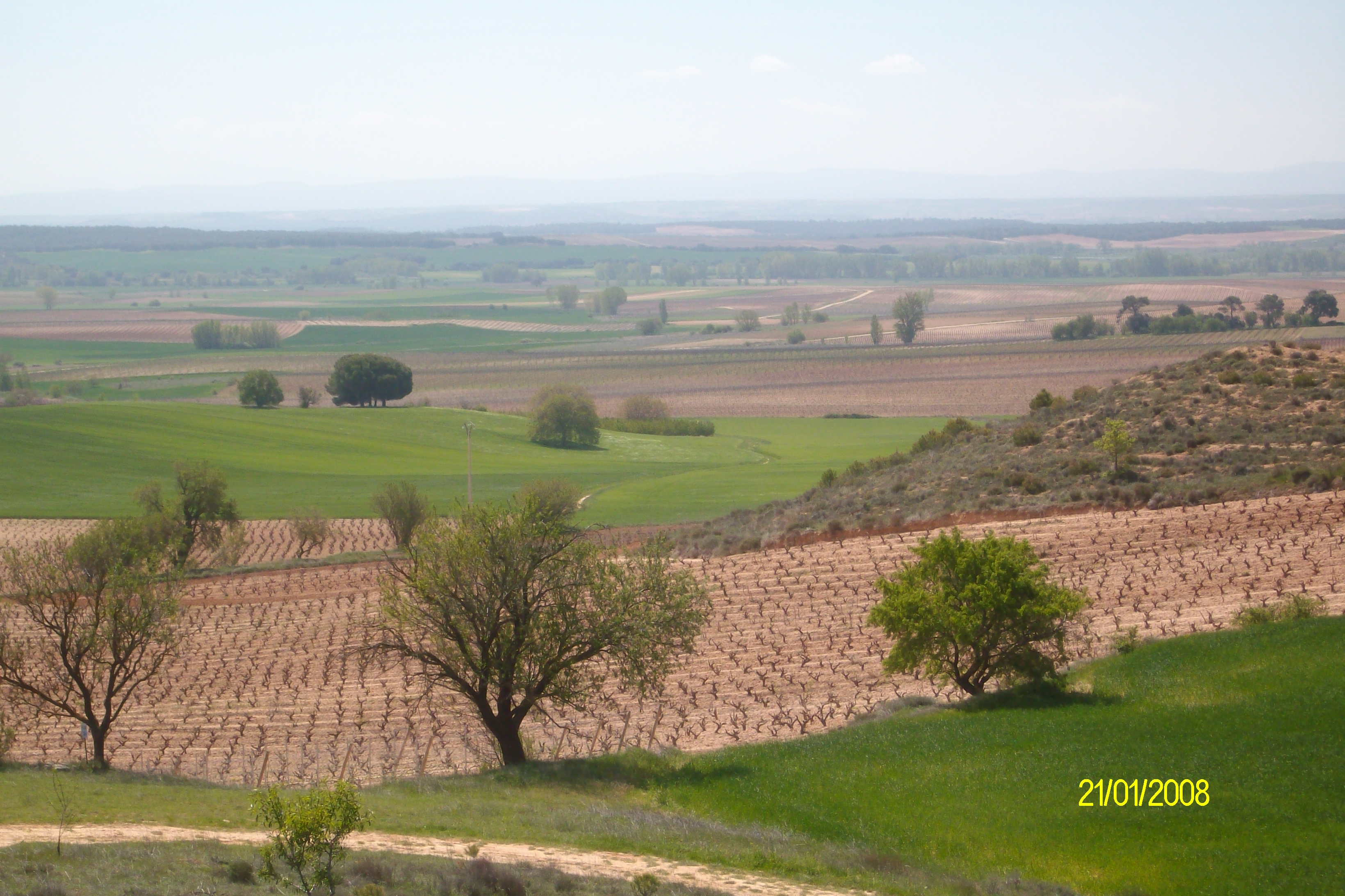 Vista
